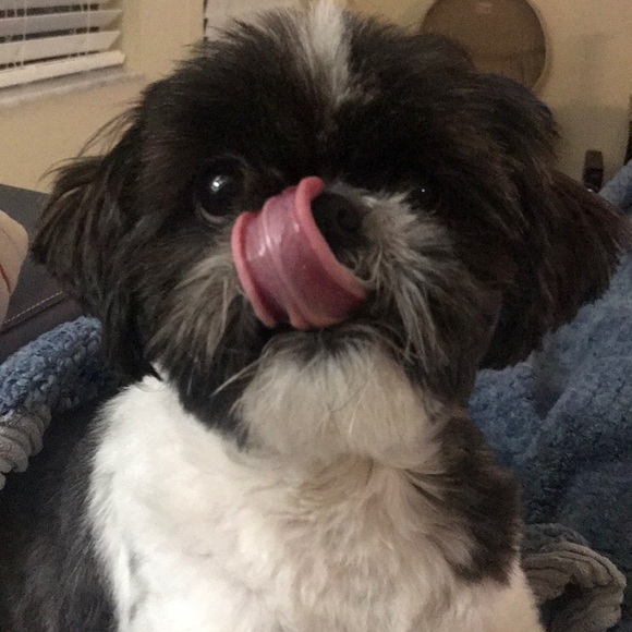 Meet your Posher, Diana - Picture 1 of 1